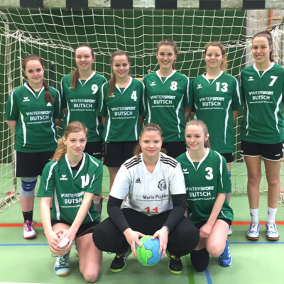Jugend trainiert Handball