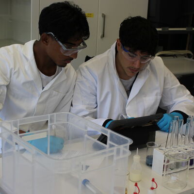 Realschulprojekt 2024_2