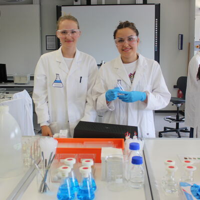 Bild vergr&ouml;&szlig;ern: BG  Realschulprojekt 6