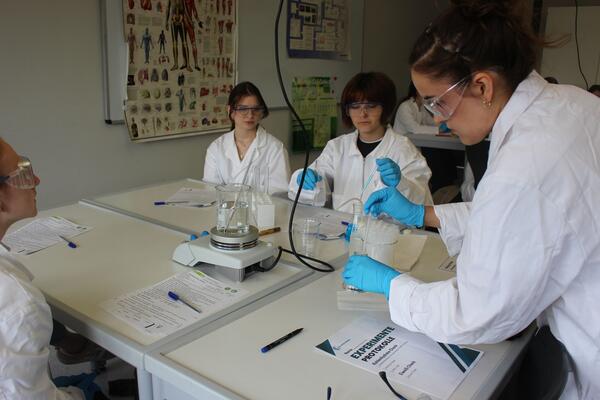 Bild vergr&ouml;&szlig;ern: BG Realschulprojekt 7