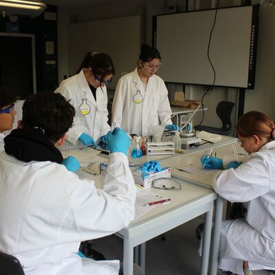 Bild vergr&ouml;&szlig;ern: BG Realschulprojekt 8