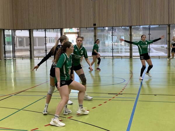 Bild vergr&ouml;&szlig;ern: Jugend trainiert f�r Olympia