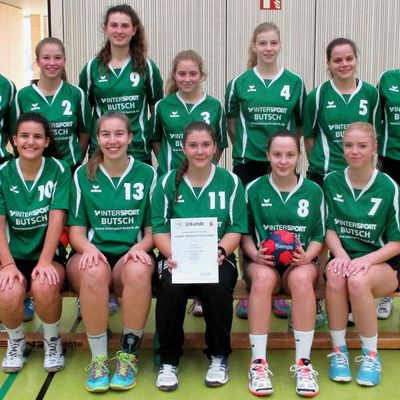 Jugend trainiert_Handball