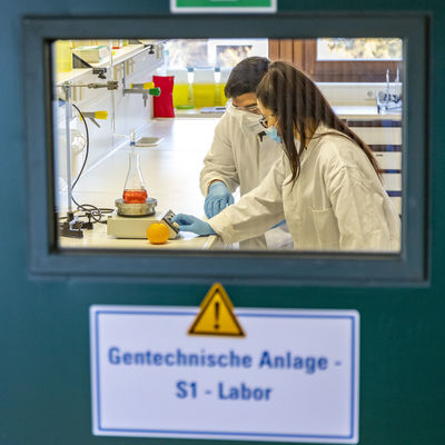 Bild vergr&ouml;&szlig;ern: S1Labor