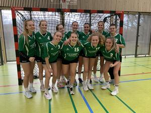 Bild vergr&ouml;&szlig;ern: Handball Bild 2