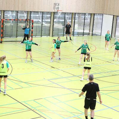Bild vergr&ouml;&szlig;ern: Handball Landesmeister