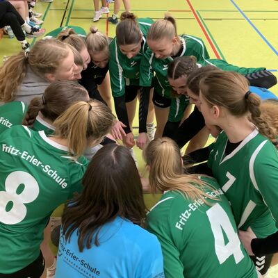 Bild vergr&ouml;&szlig;ern: Handball Landesmeister